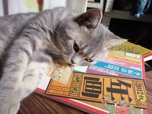  传统艺术玩转新花样他把年画做成了表情包