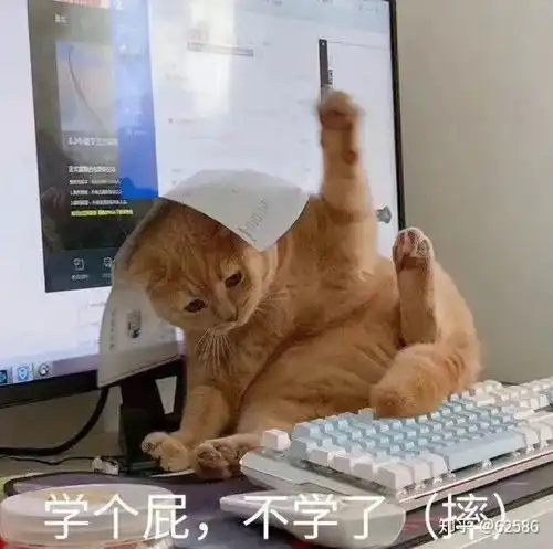  为什么都在吹武忠祥