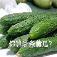  你算哪块小饼干系列表情包你算哪块小饼干怼人表情包