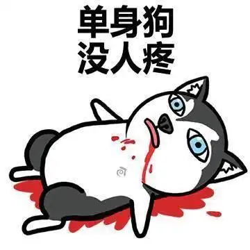 小仙女最美表情包完结