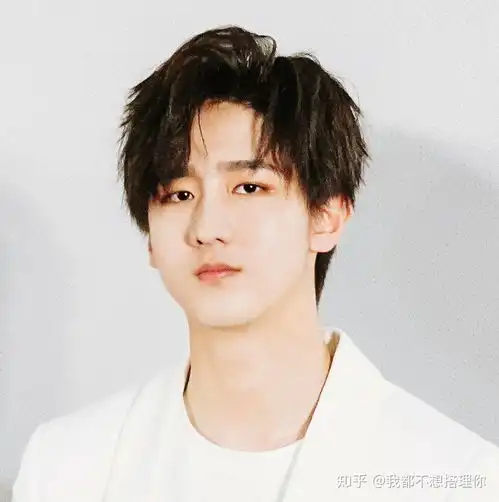  国内男团r1se的壶是什么梗
