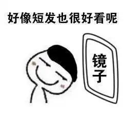 啊对对对表情包镜子