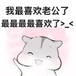  喊老婆表情包无水印版