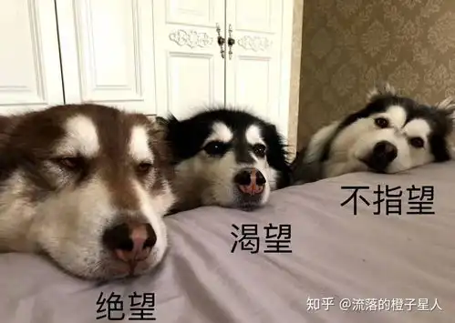  绝缘体中的费米能为什么在禁带里