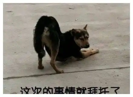  搞笑gif你们这样玩,考虑过狗狗的感受吗