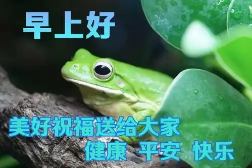 2020早上好表情包,清晨祝福朋友早上好心情表情动态图片 2020早上好表情包,清晨祝福朋友早上好心情表情动态图片