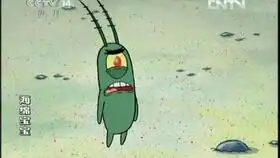  和住在深海的大菠萝里的李敖靖丙去抓水母