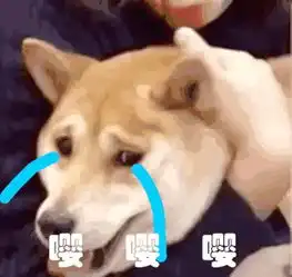  此生必去疯一次的国内游乐场,我仅有的少女心又回来啦