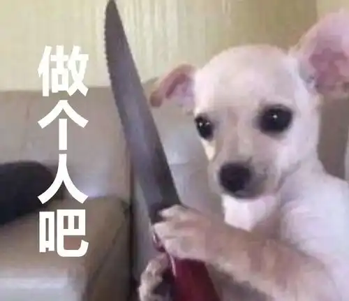  萨摩耶醉酒笑喷全网,但关键问题却被忽视了