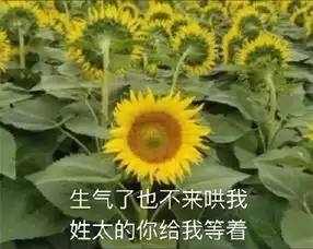  她是不是和太阳吵架了表情包向日葵背对太阳生气表情包带字