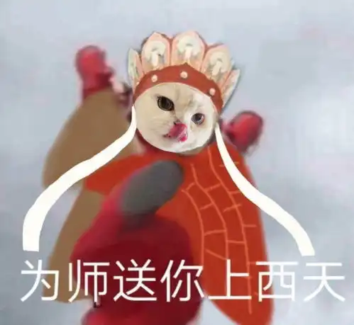  东土大唐来的喵星人