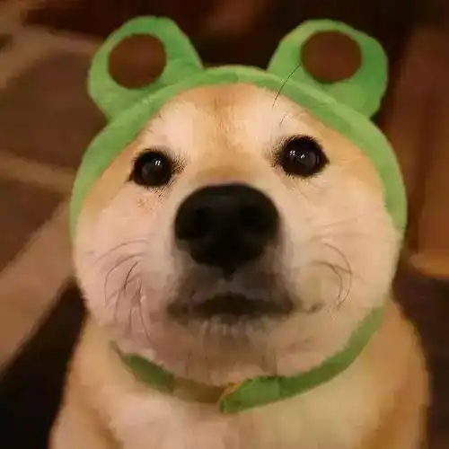  电竞大赛人气选手投票电竞征稿