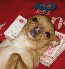  动物搞笑动图gif表情包