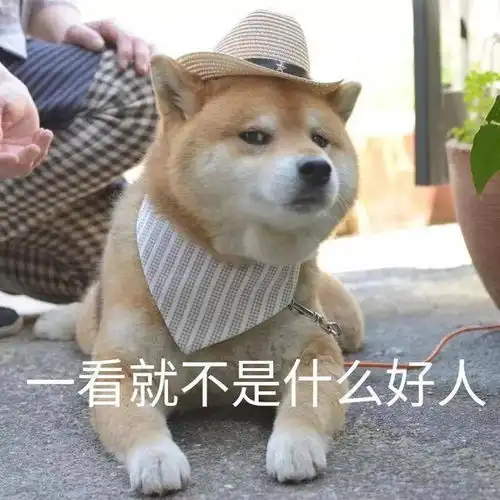  表情包早点睡,别熬夜,熬夜对手机不好