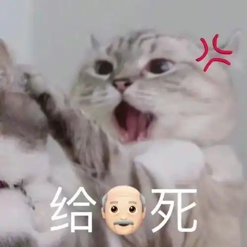  发给对象的可爱表情包我没有不开心