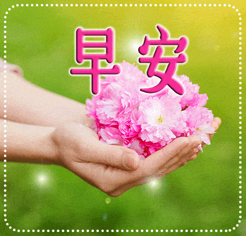 漂亮的鲜花早上好表情包,新的一天相逢是缘,事事如意平安