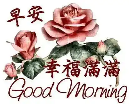  清晨早安中午好经典语录.