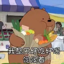  斯里兰卡科伦坡zsgjcseall