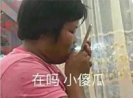  聊天斗图表情包i你算哪块小饼干