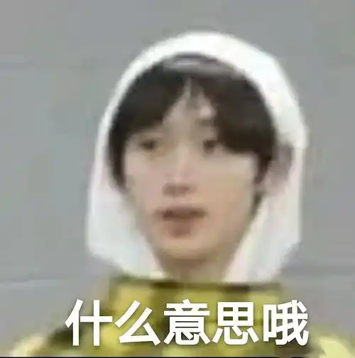 时代少年团沙雕表情包严