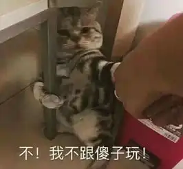 踹人的表情包桀桀