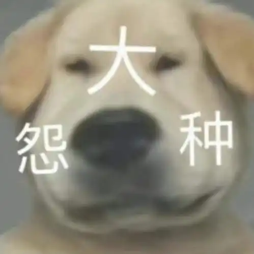 大冤种搞笑表情包