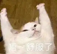  大懒x小懒的相册哈哈哈表情包