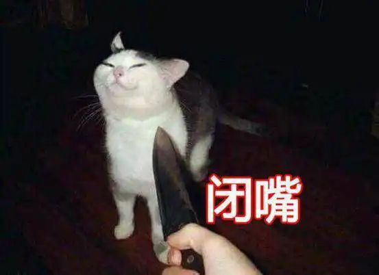  胡可晒儿子偷吃猫粮养男孩的最高境界,是做到这3点