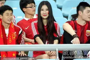  国足战突尼斯美女球迷笑容甜美闪亮看台