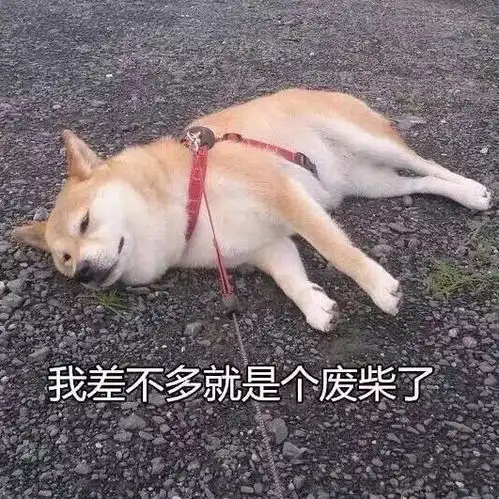  新年免费福利第三波送给你今年第一份催泪情书