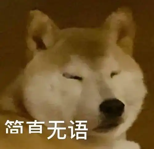 今日份表情包小姐姐一起快活啊