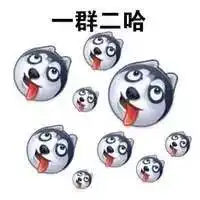 二哈撕家不服管教,被铲屎官挂在了门上 二哈撕家不服管教,被铲屎官挂在了门上