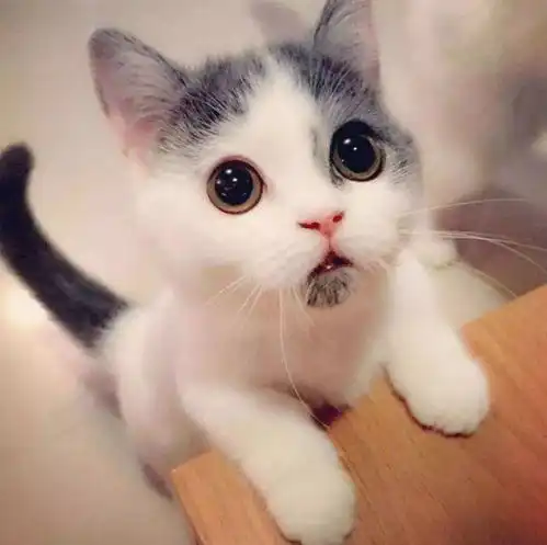  你上一次在家窝这么久是什么时候