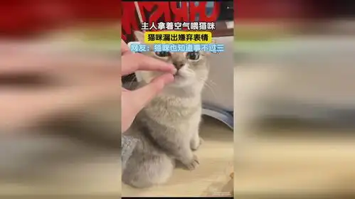 主人拿着空气喂猫咪,猫咪漏出嫌弃表情,网友猫咪也知道事不过三 主人拿着空气喂猫咪,猫咪漏出嫌弃表情,网友猫咪也知道事不过三