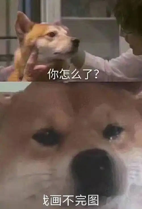  太真实了那些建筑学专用的灵魂表情包