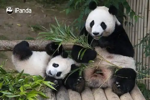  妈妈又生气了妈妈又生气了我叫方小宇