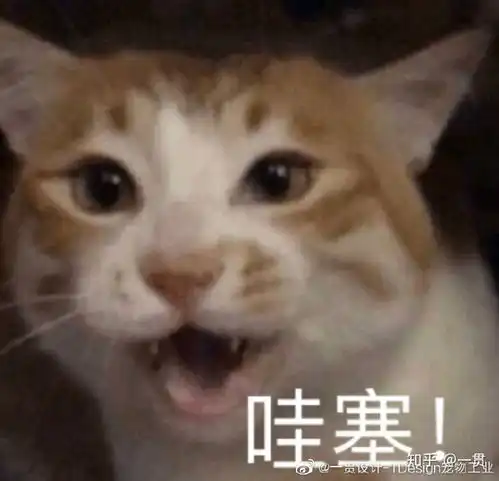  夏天到底要不要给猫咪剃毛
