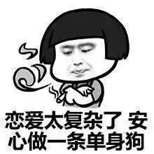  皮皮虾我们走,情人节要不脱单要不就发表情包