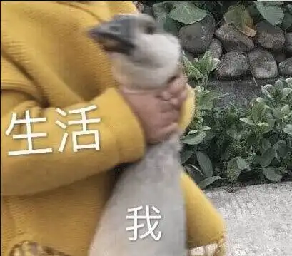  借我的钱什么时候能还亲戚着什么急,又不是不给你了