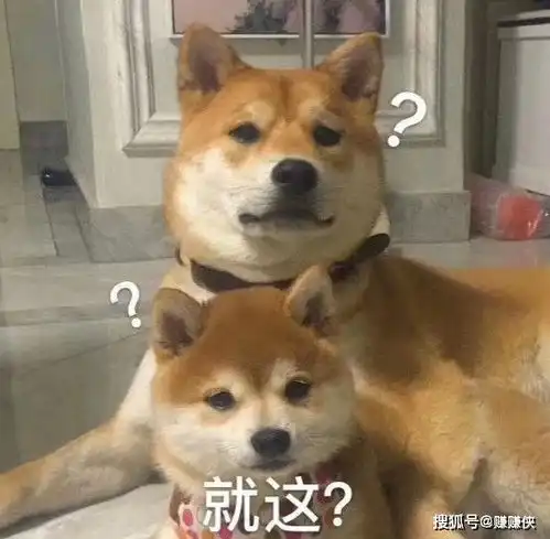  表情包图片你能看出我喜欢你吗
