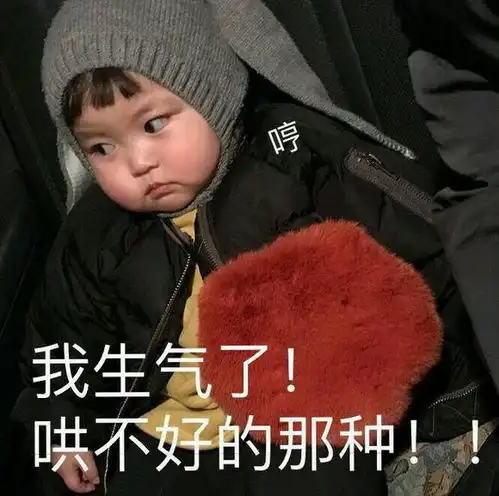 特别会生气的表情包好不