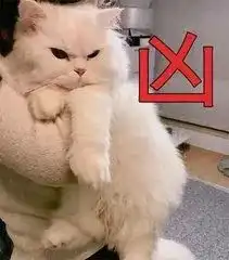 怼人的图片表情包雷神