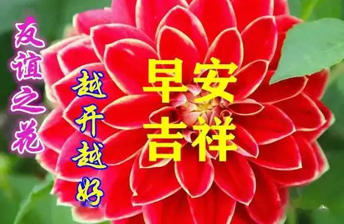 9月15日最漂亮早上好动态表情图片大全,早上好动图美图大全 9月15日最漂亮早上好动态表情图片大全,早上好动图美图大全