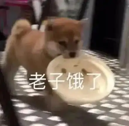  表情包萌犬别拉我我要去赚钱