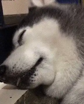  搞笑时光你可以走出去,去远一点的地方,比如南美洲