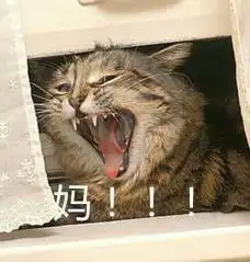  不仅袭我胸,还抱着我在地上乱滚
