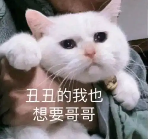 斗图小表情1.22 斗图小表情1.22