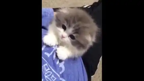  眼睛会笑的姑娘