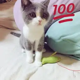  日本小哥晒网红小仙女,这生气的小表情让人想宠溺啊可爱到爆炸