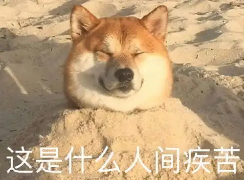 不是你的掉发表情包沙雕